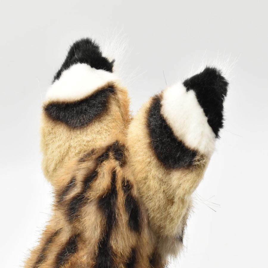 BH7372 サーバルキャット HANSA　さーばるきゃっと ねこ ネコ 猫 ぬいぐるみ リアル | HANSA（ぬいぐるみ） | 05