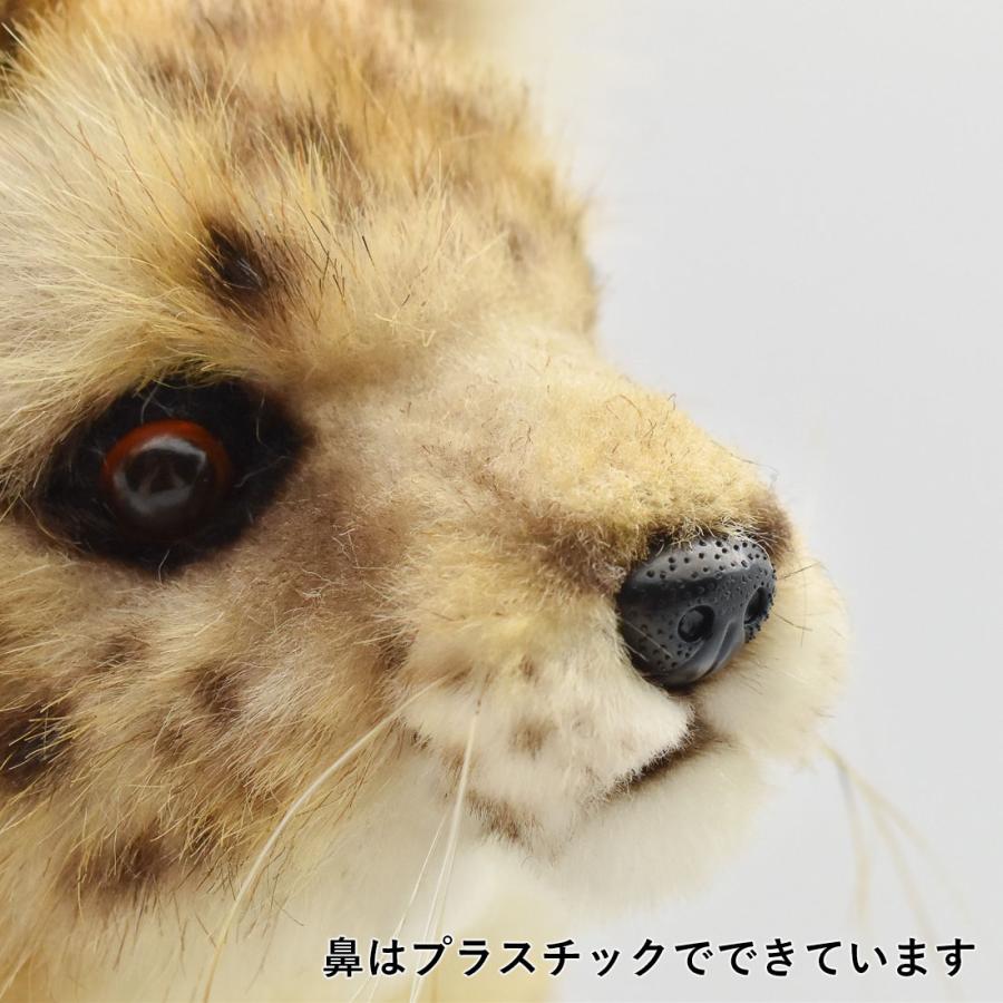 Hansa ハンサ サーバルキャット 7372 リアル 動物 ぬいぐるみ ギフト対象外 7372 Dear Bear 通販 Yahoo ショッピング