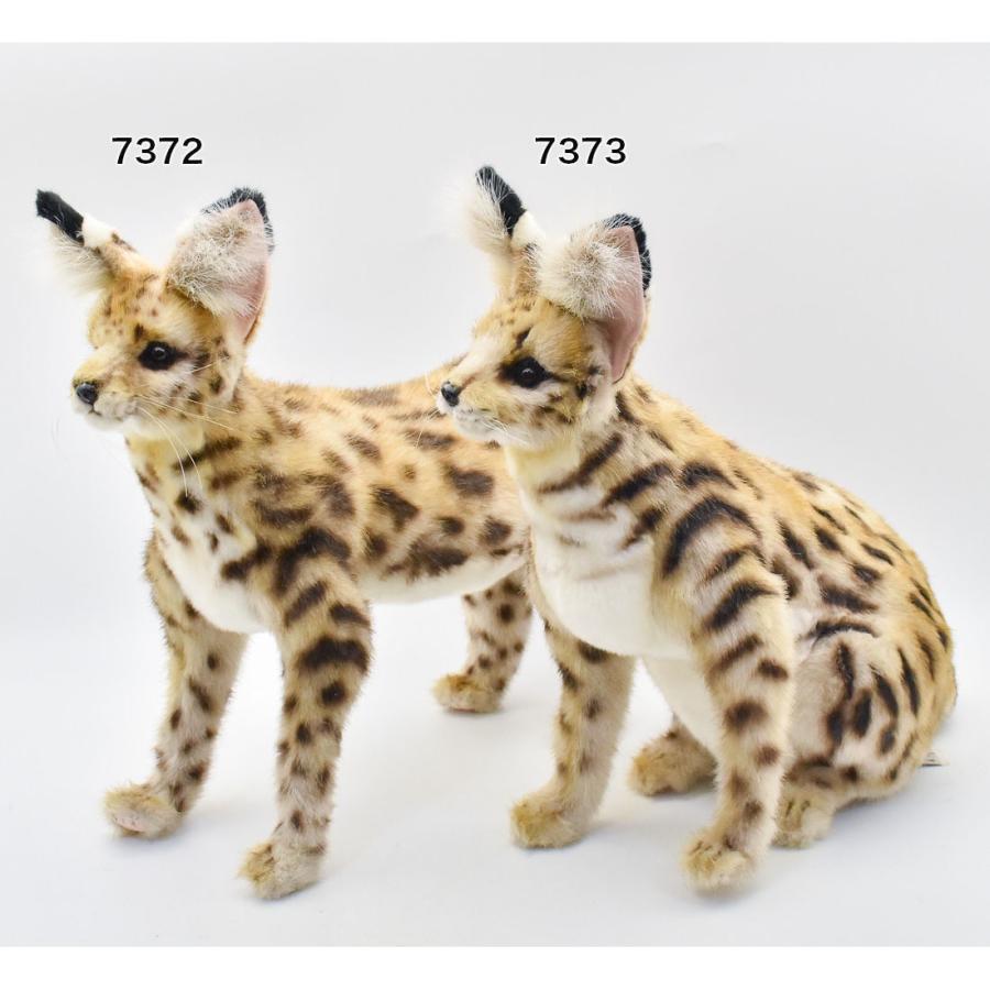 BH7372 サーバルキャット HANSA　さーばるきゃっと ねこ ネコ 猫 ぬいぐるみ リアル | HANSA（ぬいぐるみ） | 09