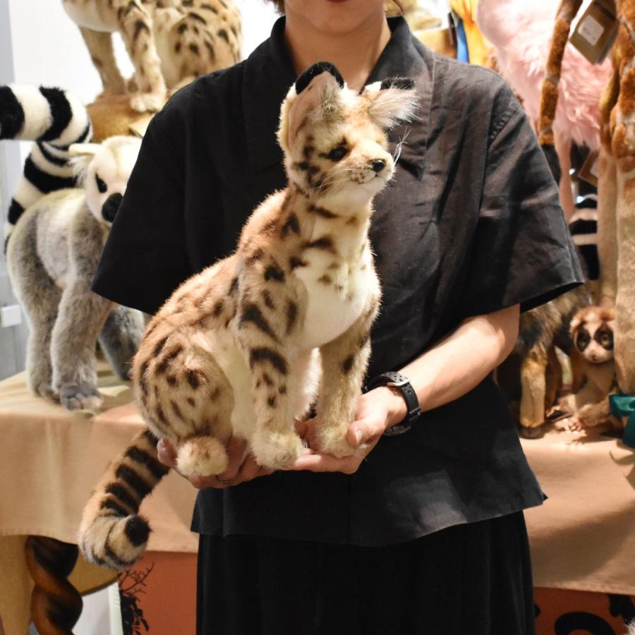 さて　ハンドメイド　ぬいぐるみ Mサイズ ハンドメイド・手芸 さて sate 猫ぬいぐるみ
