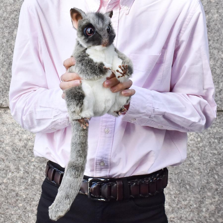 BH7482 フクロモモンガ HANSA　ふくろももんが ぬいぐるみ リアル | HANSA（ぬいぐるみ） | 07