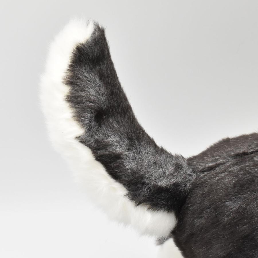 BH7512 シベリアンハスキー 仔 HANSA　しべりあんはすきー いぬ イヌ 犬 こども 子供 ぬいぐるみ リアル | HANSA（ぬいぐるみ） | 07