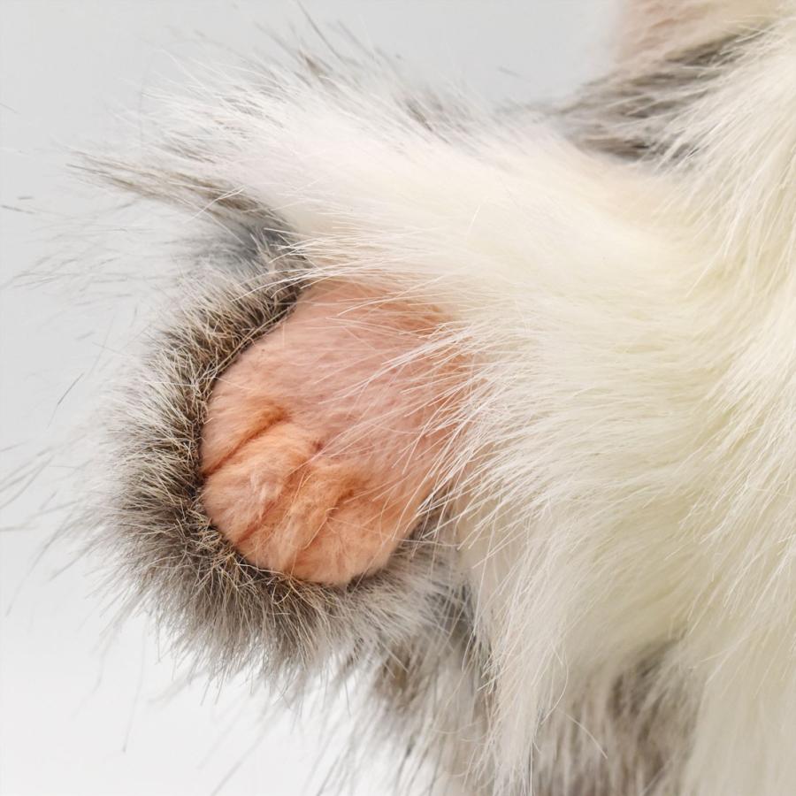 BH7519 マヌルネコ ハンドパペット HANSA　まぬるねこ リアル | HANSA（ぬいぐるみ） | 04