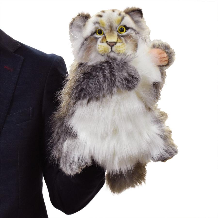 BH7519 マヌルネコ ハンドパペット HANSA　まぬるねこ リアル | HANSA（ぬいぐるみ） | 06