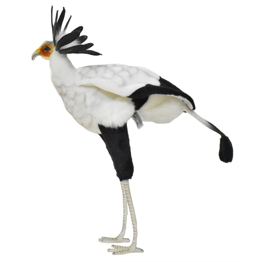 HANSA BH7639 ヘビクイワシ へびくいわし 蛇喰鷲 とり トリ 鳥