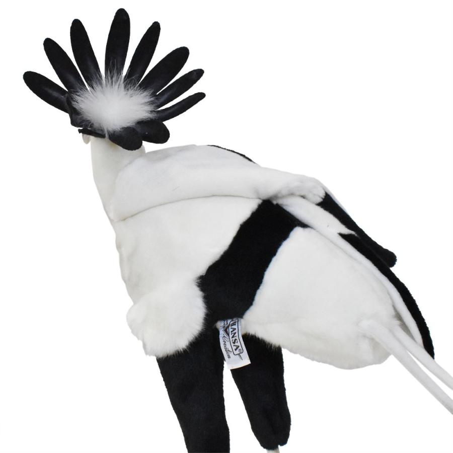 HANSA BH7639 ヘビクイワシ へびくいわし 蛇喰鷲 とり トリ 鳥