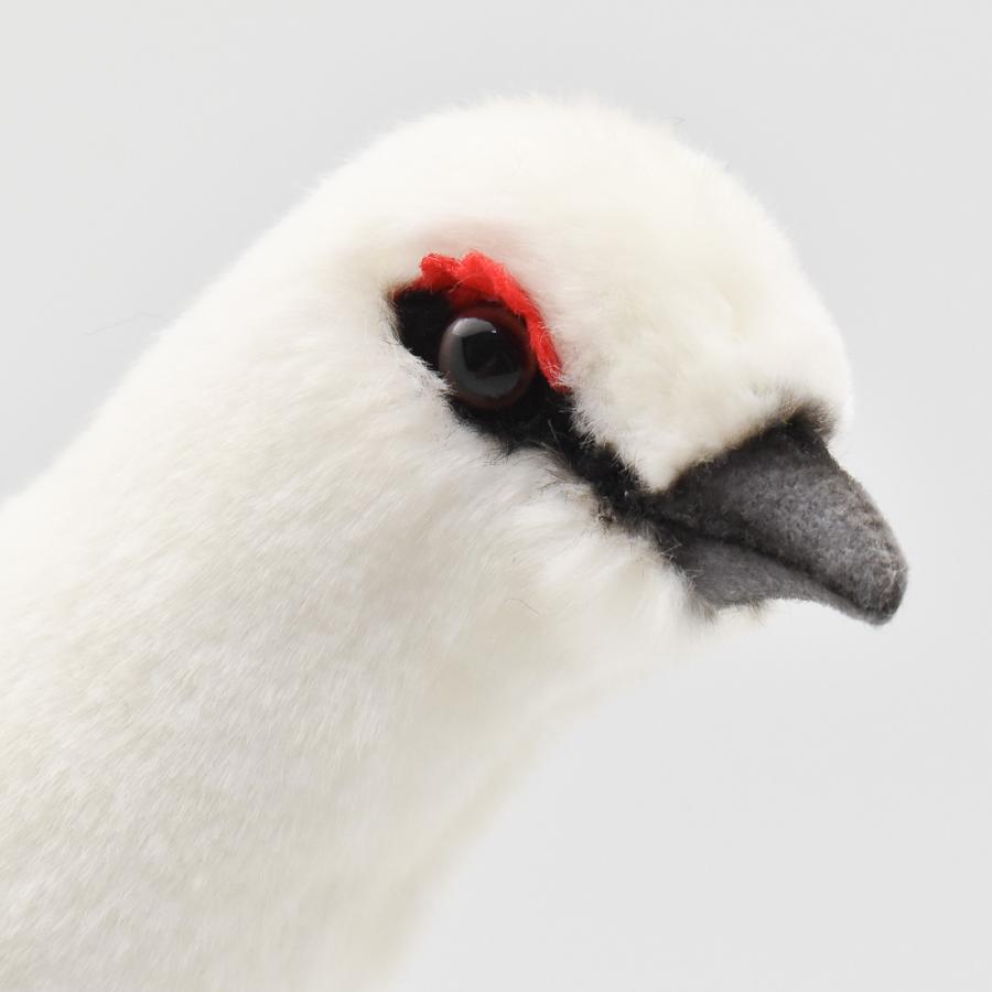 BH7642 ライチョウ 冬 HANSA　らいちょう 雷鳥 とり トリ 鳥 ぬいぐるみ リアル | HANSA（ぬいぐるみ） | 03
