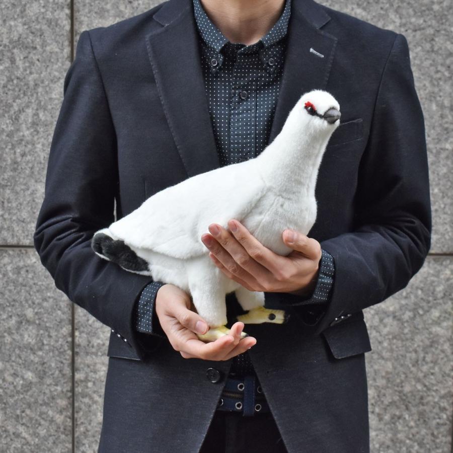 BH7642 ライチョウ 冬 HANSA　らいちょう 雷鳥 とり トリ 鳥 ぬいぐるみ リアル | HANSA（ぬいぐるみ） | 08