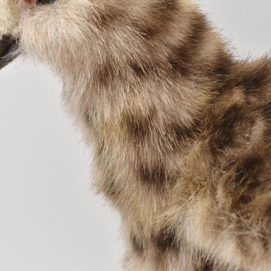 BH7647 ライチョウ 夏 HANSA　らいちょう 雷鳥 とり トリ 鳥 ぬいぐるみ リアル | HANSA（ぬいぐるみ） | 04