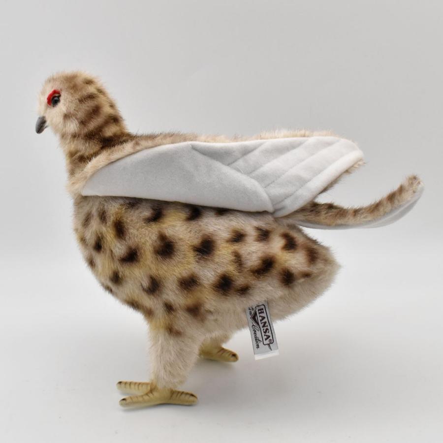 BH7647 ライチョウ 夏 HANSA　らいちょう 雷鳥 とり トリ 鳥 ぬいぐるみ リアル | HANSA（ぬいぐるみ） | 07
