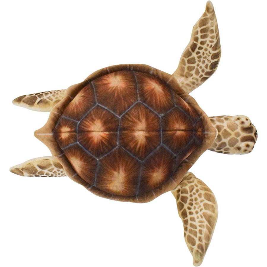 BH7690 ウミガメ HANSA　うみがめ 海亀 かめ カメ ぬいぐるみ リアル | HANSA（ぬいぐるみ） | 02