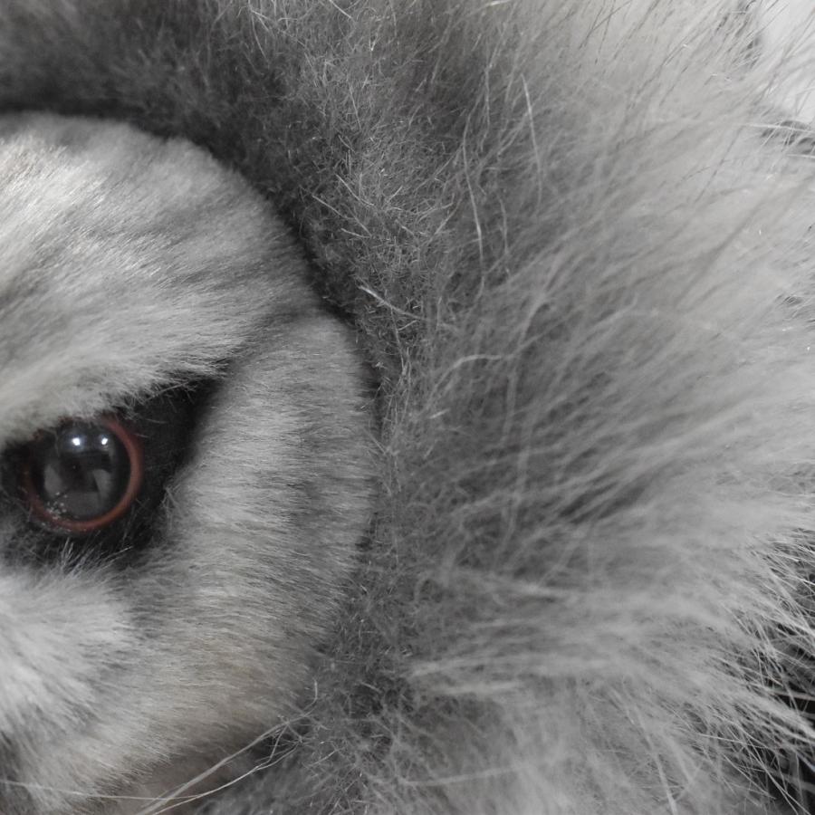 BH7710 オウギワシ HANSA　おうぎわし 扇鷲 とり トリ 鳥 ぬいぐるみ リアル | HANSA（ぬいぐるみ） | 05