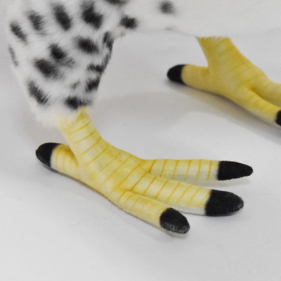 BH7710 オウギワシ HANSA　おうぎわし 扇鷲 とり トリ 鳥 ぬいぐるみ リアル | HANSA（ぬいぐるみ） | 07