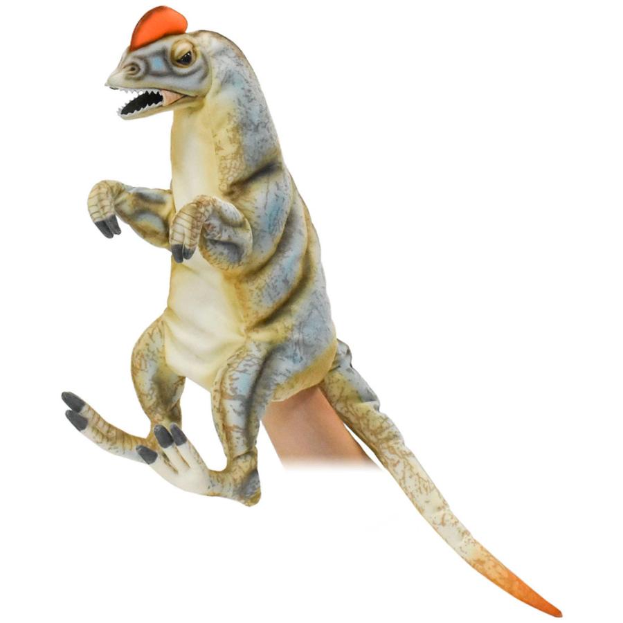 ディロフォサウルス ハンドパペット 恐竜 きょうりゅう リアル HANSA ハンサ 7754 動物 置物 インテリア プレゼント｜dearbear｜01
