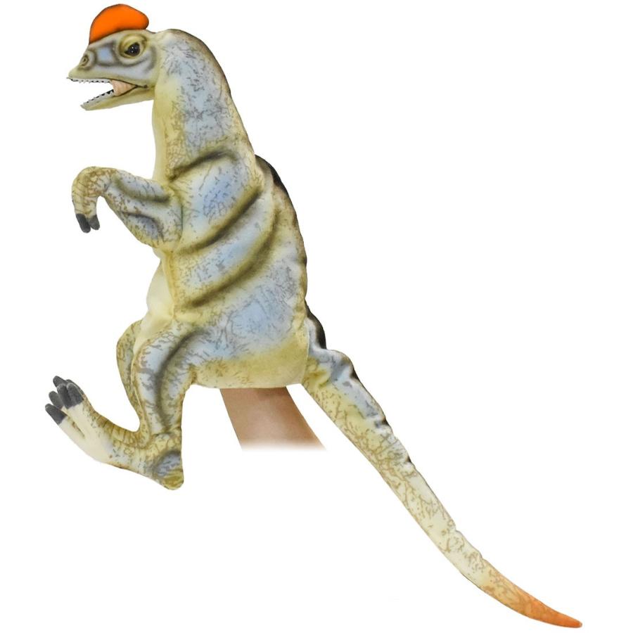 ディロフォサウルス ハンドパペット 恐竜 きょうりゅう リアル HANSA ハンサ 7754 動物 置物 インテリア プレゼント｜dearbear｜02