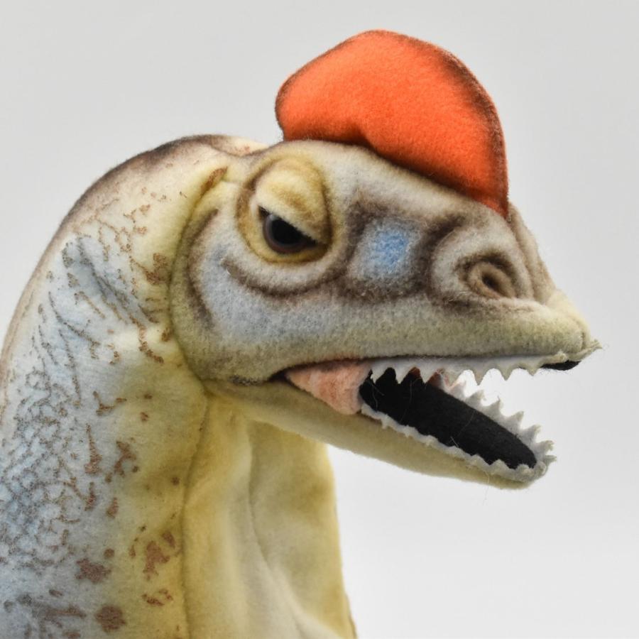 BH7754 ディロフォサウルス ハンドパペット HANSA　でぃろふぉさうるす 恐竜 きょうりゅう リアル | HANSA（ぬいぐるみ） | 03