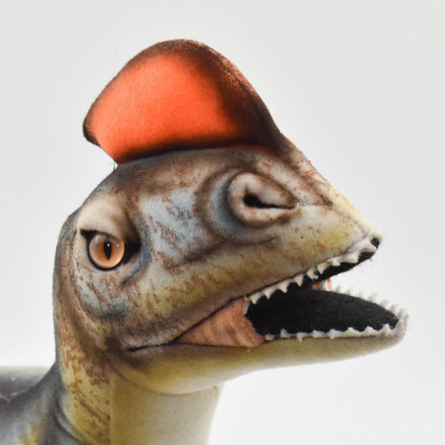 BH7769 ディロフォサウルス HANSA　でぃろふぉさうるす 恐竜 きょうりゅう ぬいぐるみ リアル | HANSA（ぬいぐるみ） | 03