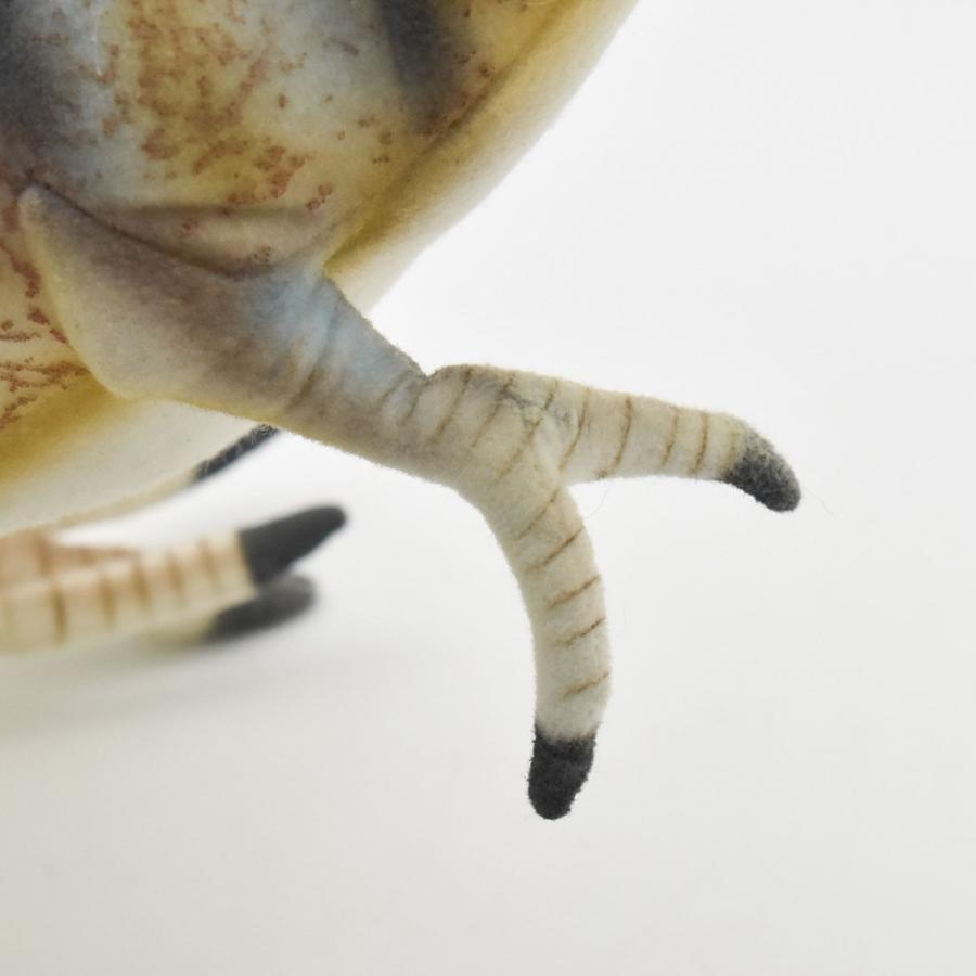 BH7769 ディロフォサウルス HANSA　でぃろふぉさうるす 恐竜 きょうりゅう ぬいぐるみ リアル | HANSA（ぬいぐるみ） | 07