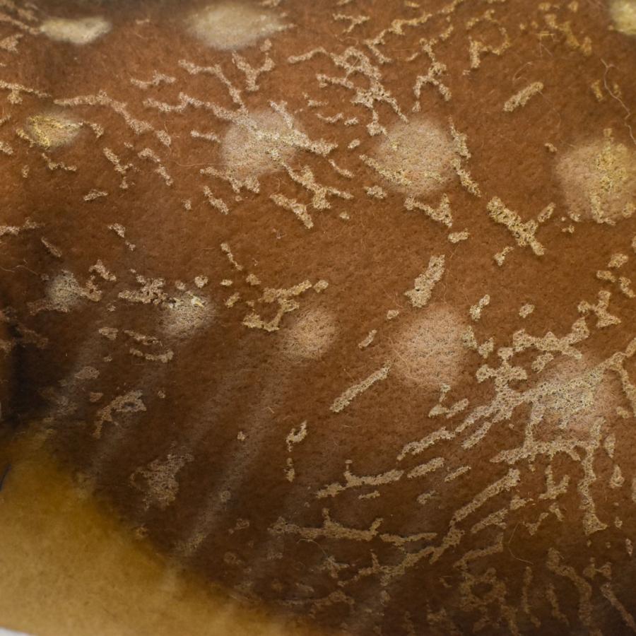 BH7786 ムッタブラサウルス HANSA　むったぶらさうるす 恐竜 きょうりゅう ぬいぐるみ リアル | HANSA（ぬいぐるみ） | 04