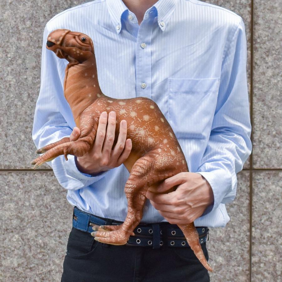 BH7786 ムッタブラサウルス HANSA　むったぶらさうるす 恐竜 きょうりゅう ぬいぐるみ リアル | HANSA（ぬいぐるみ） | 08