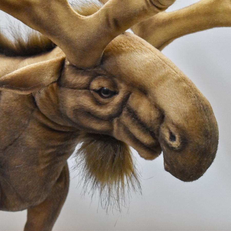 BH7794 ヘラジカ HANSA　箆鹿 へらじか しか ぬいぐるみ リアル | HANSA（ぬいぐるみ） | 03