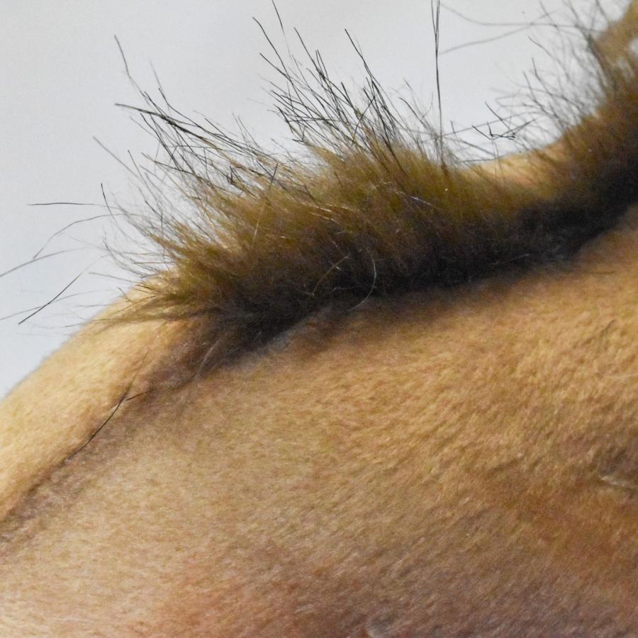 BH7794 ヘラジカ HANSA　箆鹿 へらじか しか ぬいぐるみ リアル | HANSA（ぬいぐるみ） | 04