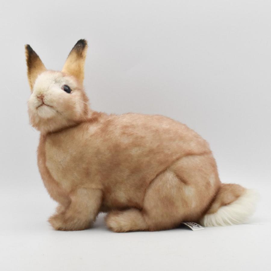 BH7797 ウサギ クリーム HANSA　うさぎ 兎 ぬいぐるみ リアル | HANSA（ぬいぐるみ） | 01