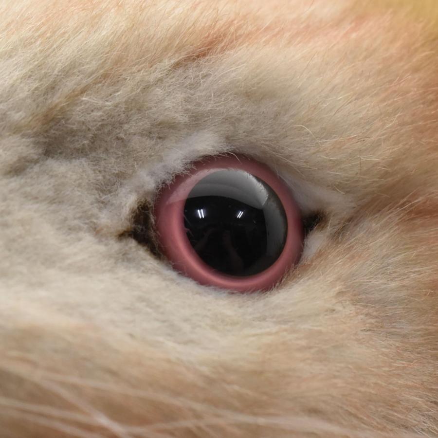 BH7797 ウサギ クリーム HANSA　うさぎ 兎 ぬいぐるみ リアル | HANSA（ぬいぐるみ） | 05