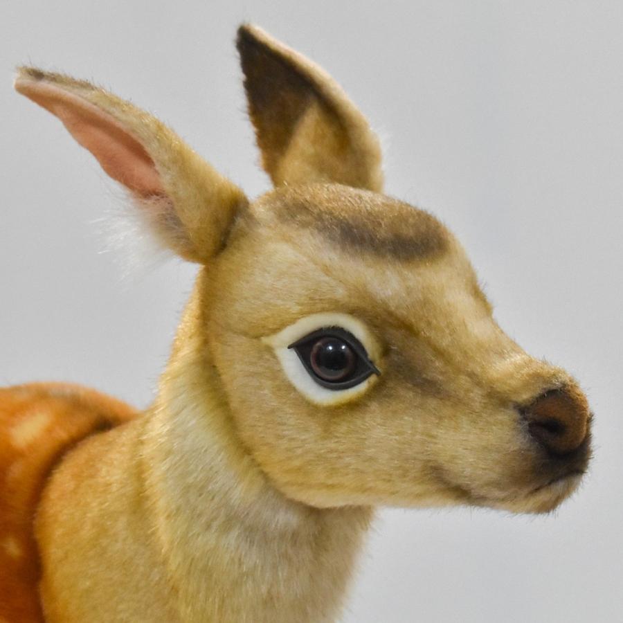 BH7803 ニホンジカ HANSA　しか シカ 鹿 ぬいぐるみ リアル | HANSA（ぬいぐるみ） | 03