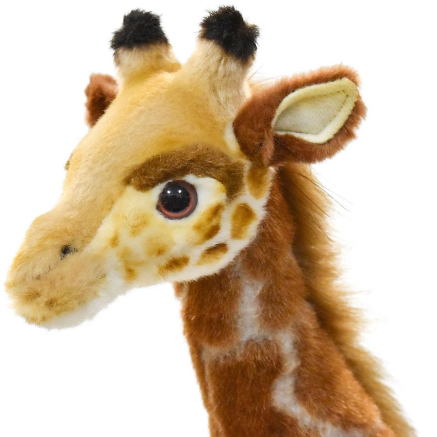 HANSA BH7810 キリン きりん 麒麟 ぬいぐるみ リアル : Dear Bear WEB