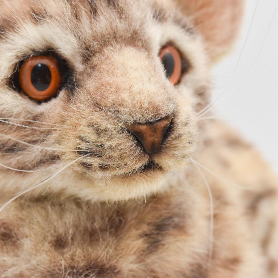 BH7844 ベンガルヤマネコ HANSA　べんがるやまねこ ネコ 猫 ぬいぐるみ リアル | HANSA（ぬいぐるみ） | 06
