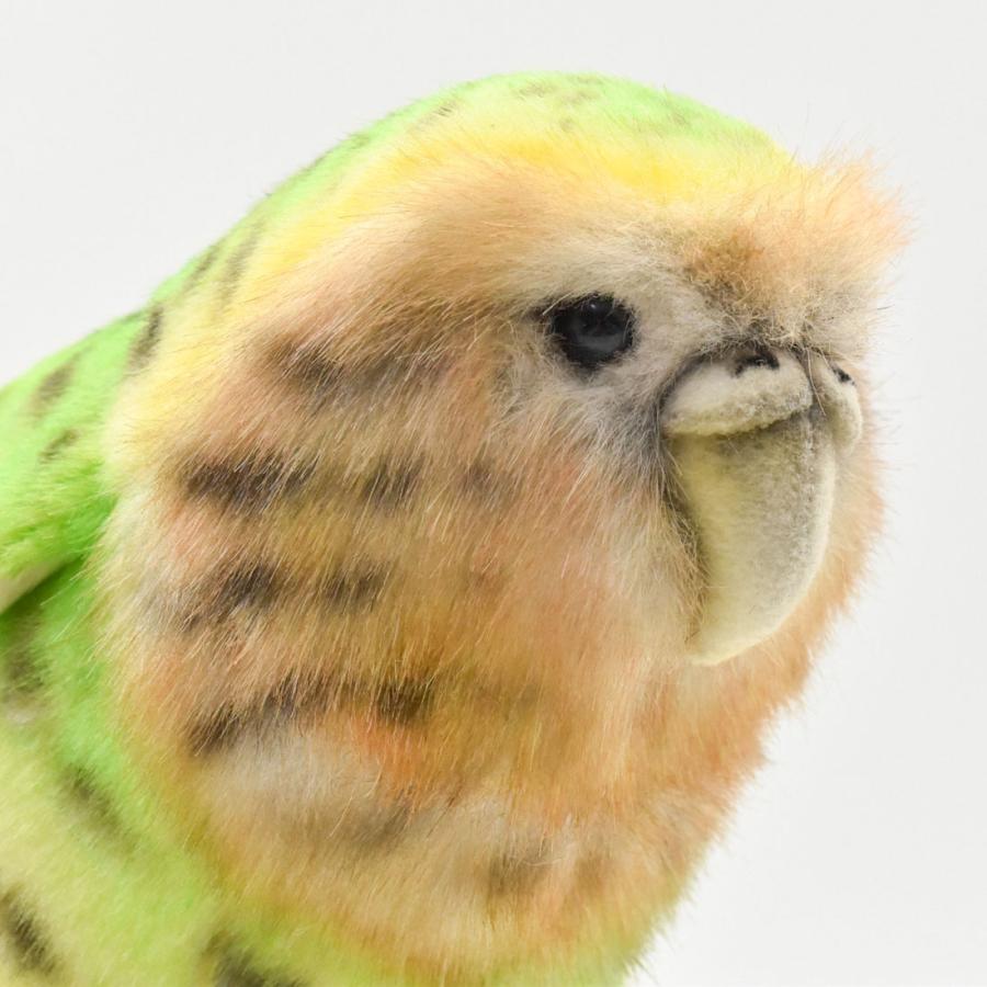 特大カカポぬいぐるみ（Kakapo Recovery 里親特典） I've adopted Kakapo🥰今年もこの季節！カカポ保護への寄付