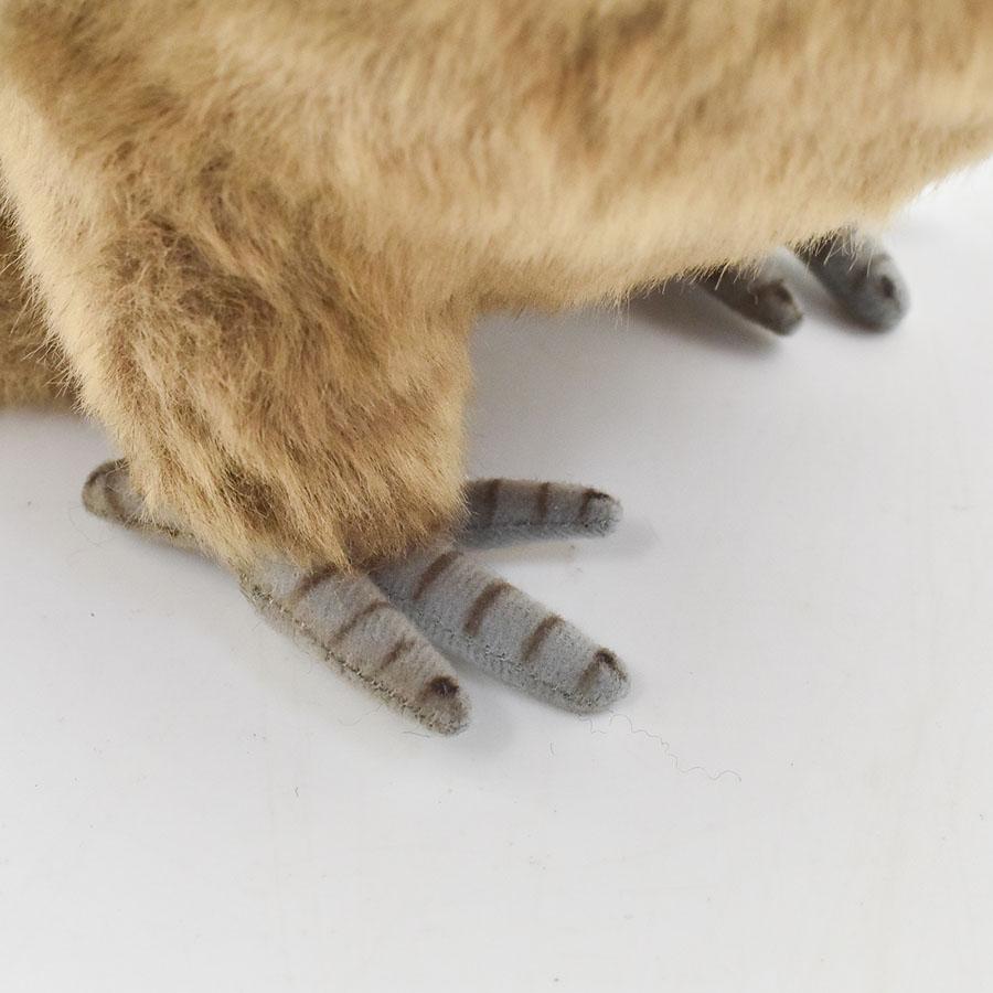 BH7929 ガマグチヨタカ HANSA　がまぐちよたか とり トリ 鳥 ぬいぐるみ リアル | HANSA（ぬいぐるみ） | 06