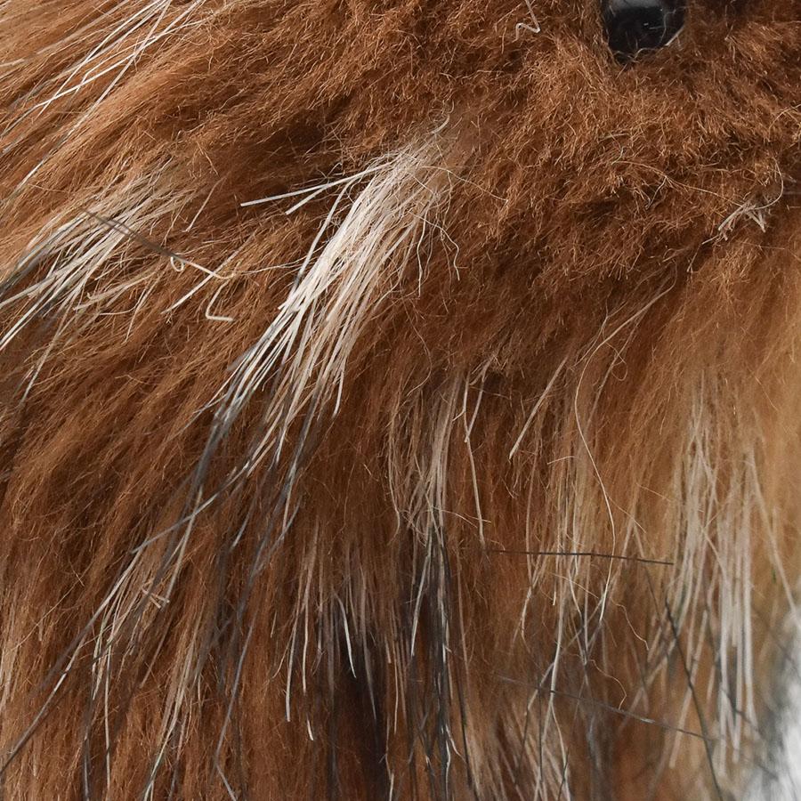 BH7972 キーウィ HANSA　きーうぃ とり トリ 鳥 ぬいぐるみ リアル | HANSA（ぬいぐるみ） | 05