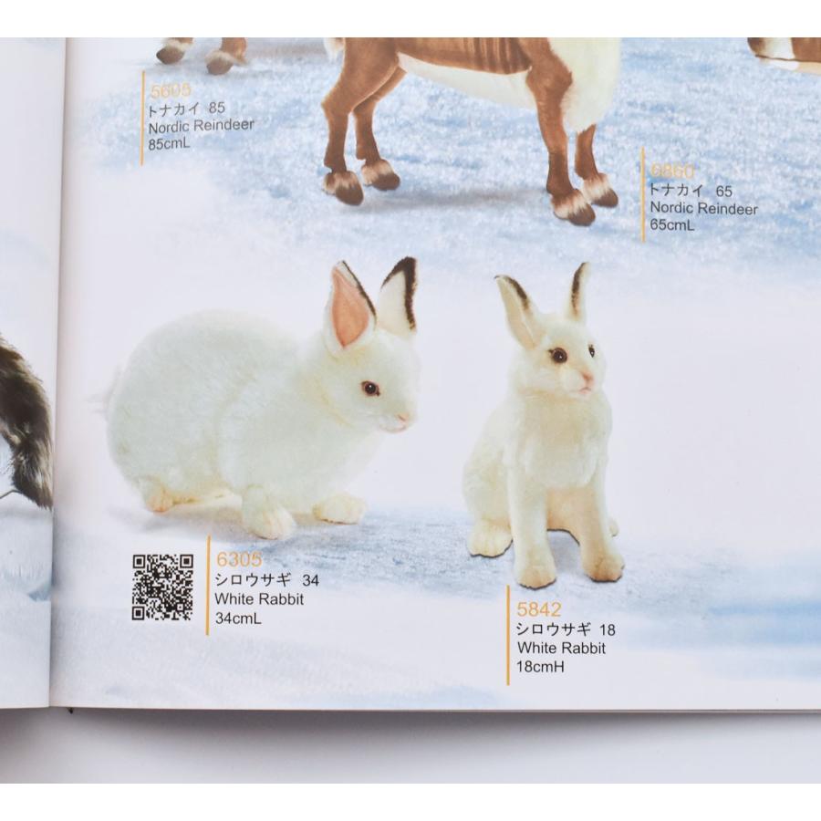 BH8006 エデュケーショナルアニマルブック HANSA ぬいぐるみ 動物 図鑑 ずかん |  | 05