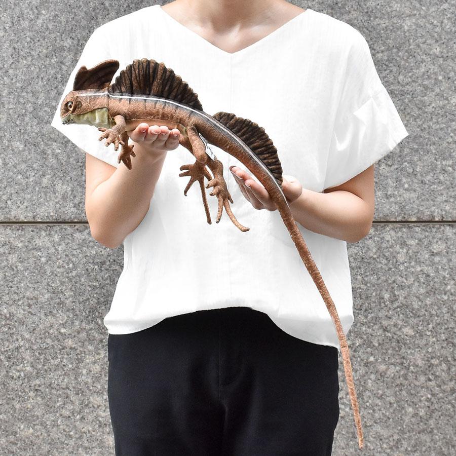 BH8037 ブラウンバシリスク HANSA　ばじりすく 茶色 ぬいぐるみ リアル | HANSA（ぬいぐるみ） | 07