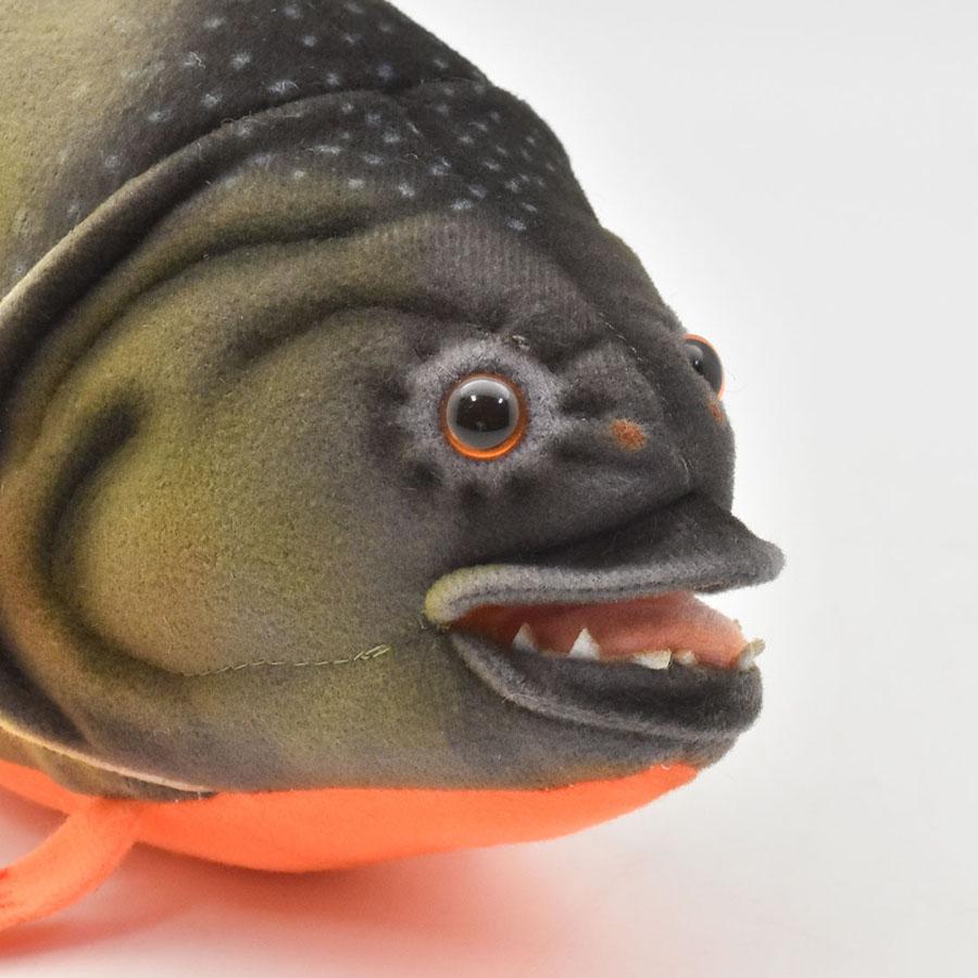 BH8065 ピラニア HANSA　ぴらにあ さかな 魚 ぬいぐるみ リアル | HANSA（ぬいぐるみ） | 04