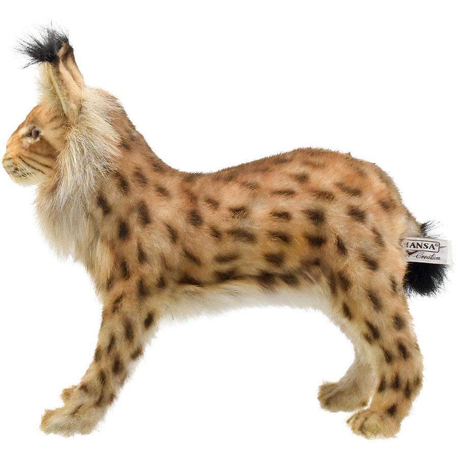 BH8070 ヨーロッパオオヤマネコ HANSA　ぬいぐるみ リアル | HANSA（ぬいぐるみ） | 01