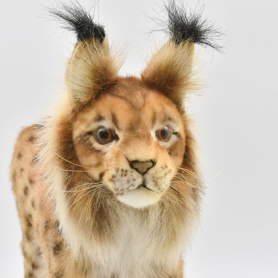 BH8070 ヨーロッパオオヤマネコ HANSA　ぬいぐるみ リアル | HANSA（ぬいぐるみ） | 04