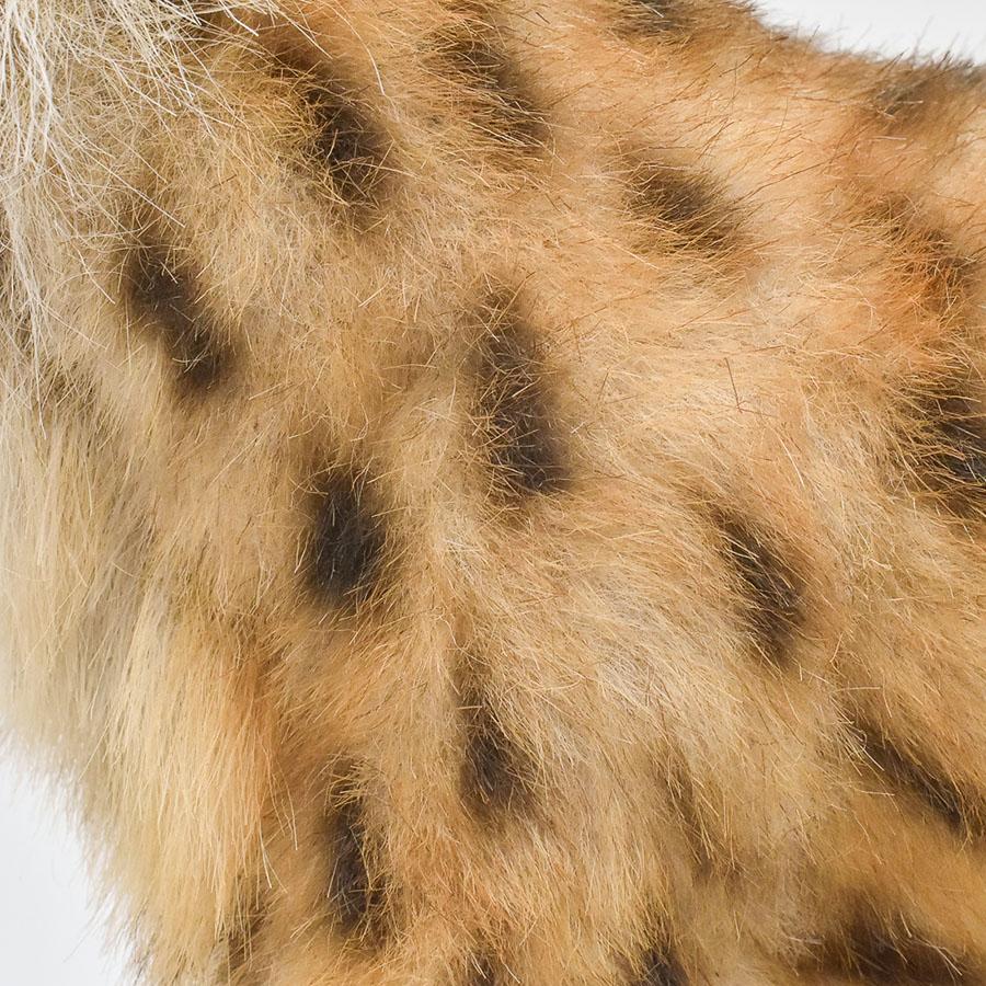 BH8070 ヨーロッパオオヤマネコ HANSA　ぬいぐるみ リアル | HANSA（ぬいぐるみ） | 05