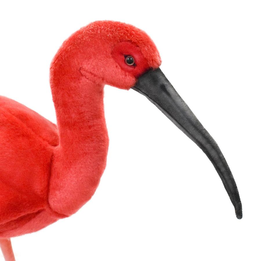 BH8135 ショウジョウトキ HANSA　しょうじょうとき 朱鷺 とり トリ 鳥 ぬいぐるみ リアル | HANSA（ぬいぐるみ） | 03