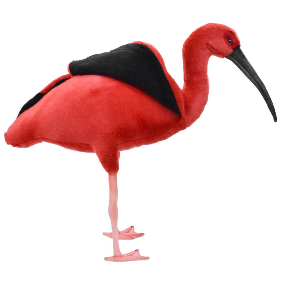 BH8135 ショウジョウトキ HANSA　しょうじょうとき 朱鷺 とり トリ 鳥 ぬいぐるみ リアル | HANSA（ぬいぐるみ） | 06