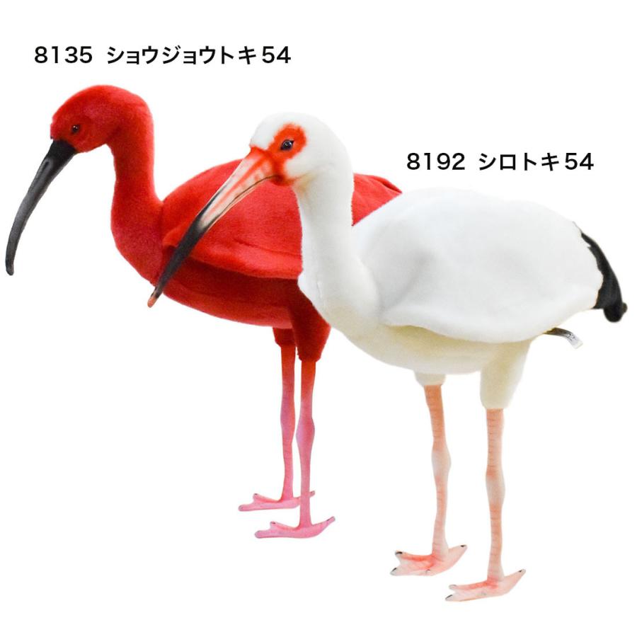 BH8135 ショウジョウトキ HANSA　しょうじょうとき 朱鷺 とり トリ 鳥 ぬいぐるみ リアル | HANSA（ぬいぐるみ） | 08