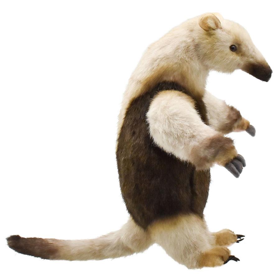 BH8137 コアリクイ HANSA　ありくい 蟻獣 ぬいぐるみ リアル | HANSA（ぬいぐるみ） | 01