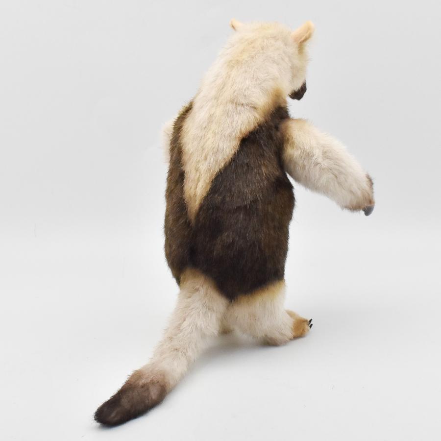 BH8137 コアリクイ HANSA　ありくい 蟻獣 ぬいぐるみ リアル | HANSA（ぬいぐるみ） | 02