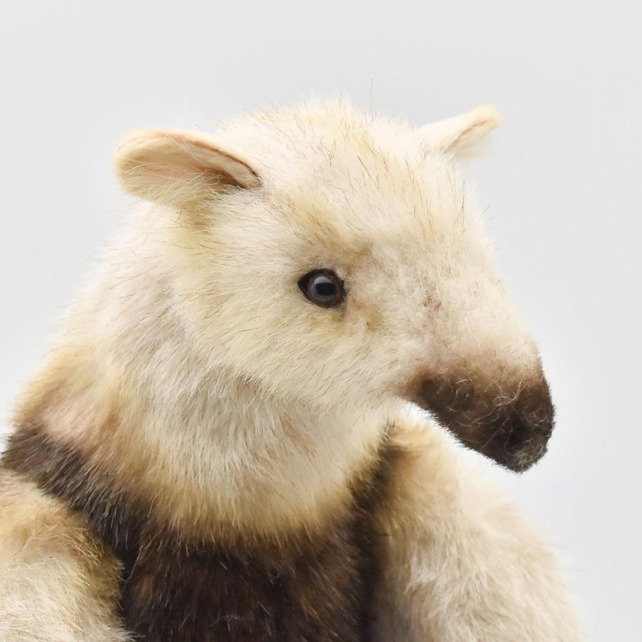 BH8137 コアリクイ HANSA　ありくい 蟻獣 ぬいぐるみ リアル | HANSA（ぬいぐるみ） | 03