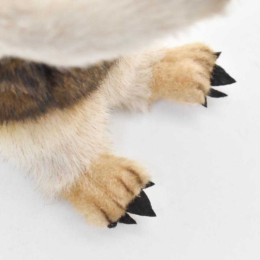 BH8137 コアリクイ HANSA　ありくい 蟻獣 ぬいぐるみ リアル | HANSA（ぬいぐるみ） | 05