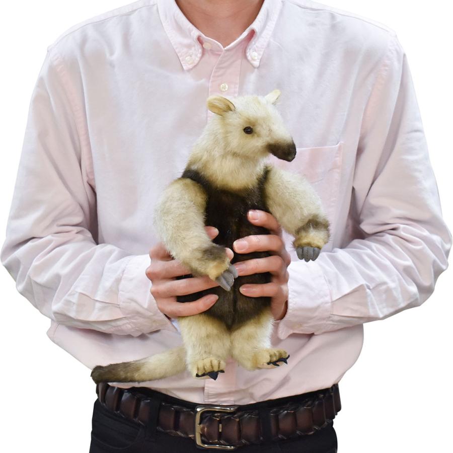 BH8137 コアリクイ HANSA　ありくい 蟻獣 ぬいぐるみ リアル | HANSA（ぬいぐるみ） | 08