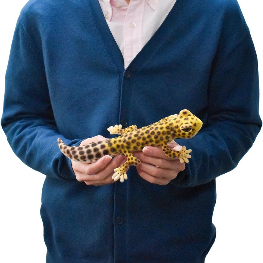 BH8140 ヒョウモントカゲモドキ HANSA　ひょうもんとかげもどき やもり ヤモリ ぬいぐるみ リアル | HANSA（ぬいぐるみ） | 07
