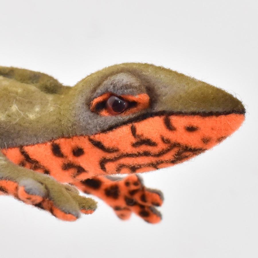 BH8141 アカハライモリ HANSA　あかはらいもり 井守 ぬいぐるみ リアル | HANSA（ぬいぐるみ） | 04